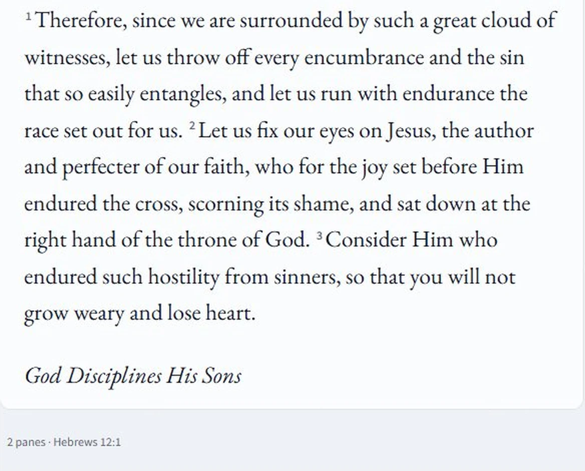 Berean Blue app preview